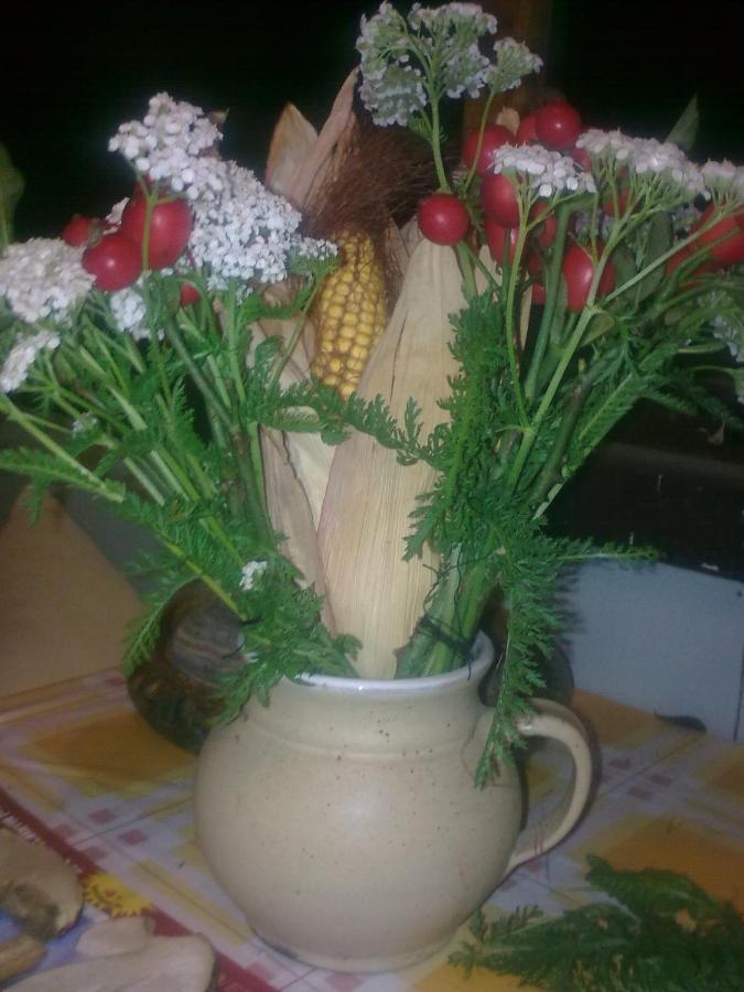Chata Friday Ktová 외부 사진